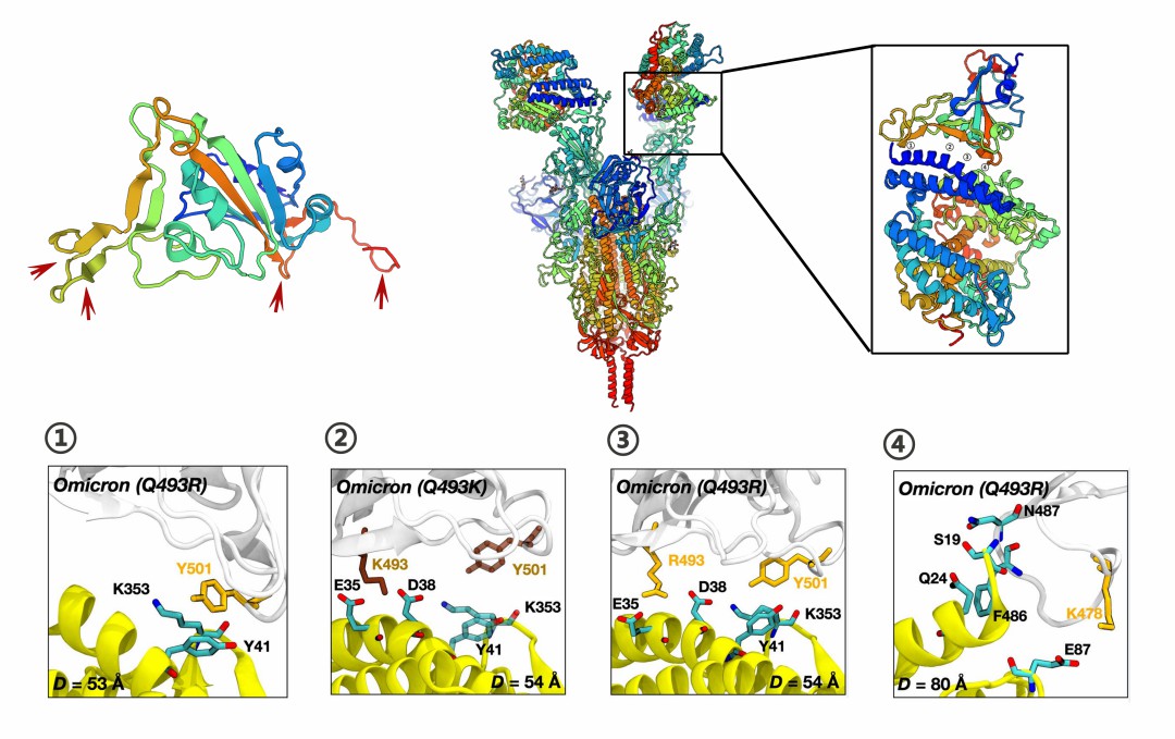 1676427220462892.jpg 640 (2).jpg